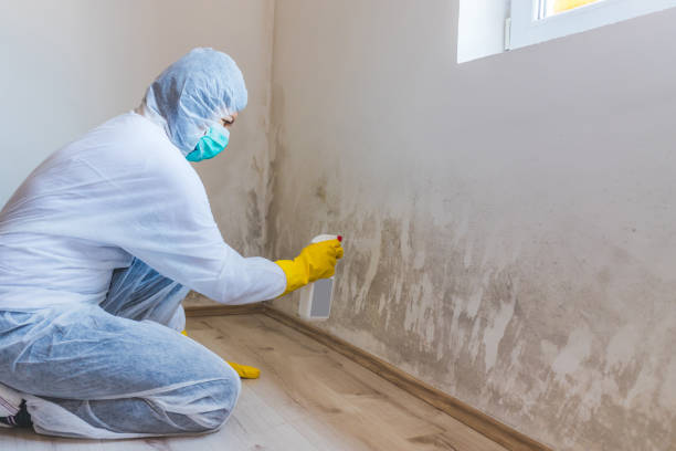 Mold Remediation specialist working in Mahaffey